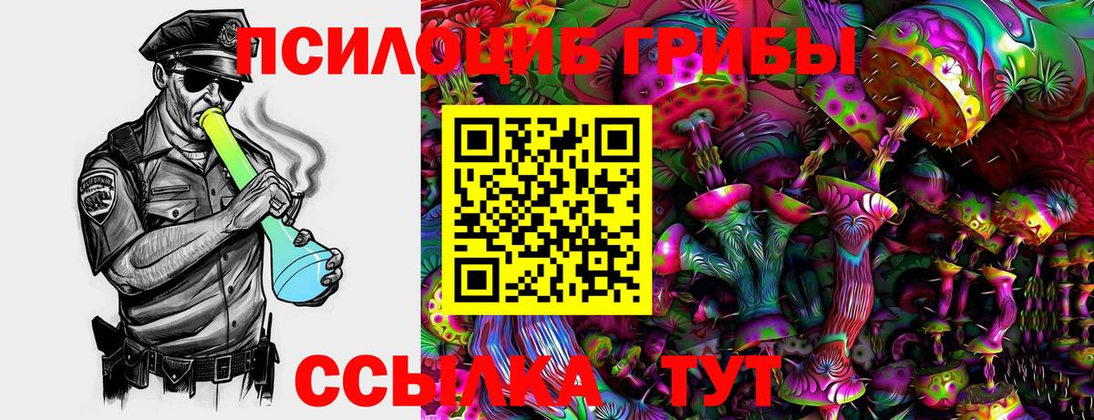 Псилоцибиновые грибы ЛСД Мариинск