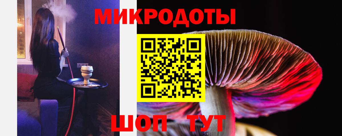 Псилоцибиновые грибы Cubensis  Вход с VPN  Мариинск 